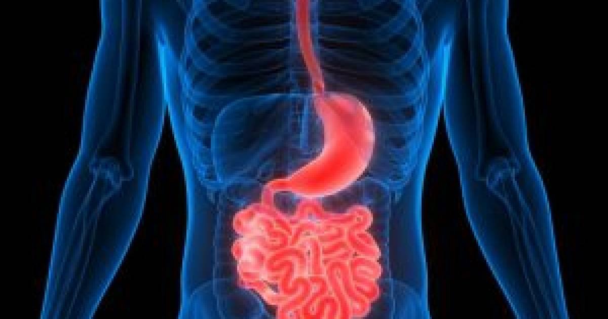 Obésité Qu Est Ce Que La Chirurgie Bipartite Du Transit