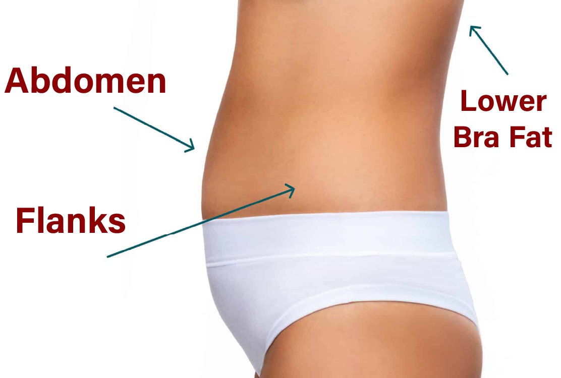 areas_for_fat_harvesting_for_mini_bbl_in_turkey