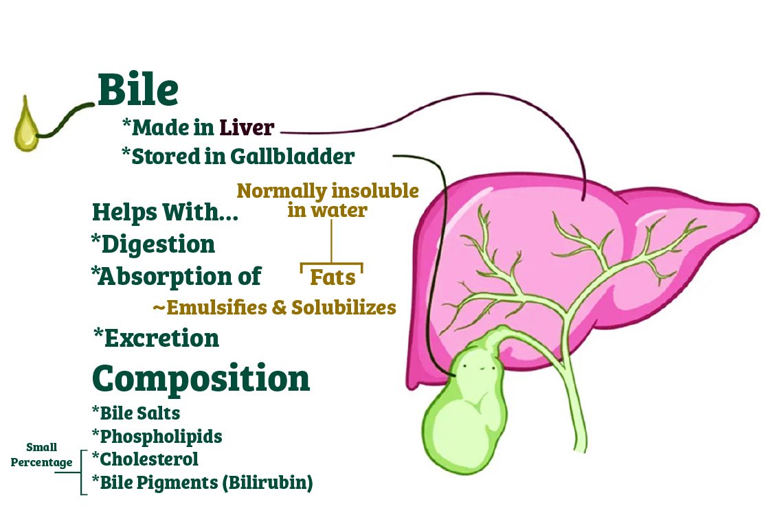 bile_for_gallbladder_removal_in_turkey