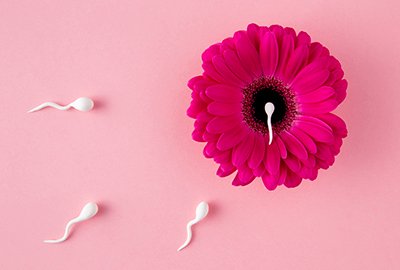 representation_of_single_sperm_in_egg_for_fertility_treatment_in_turkey