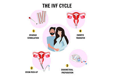 vector_illustrating_ivf_in_turkey_cycle